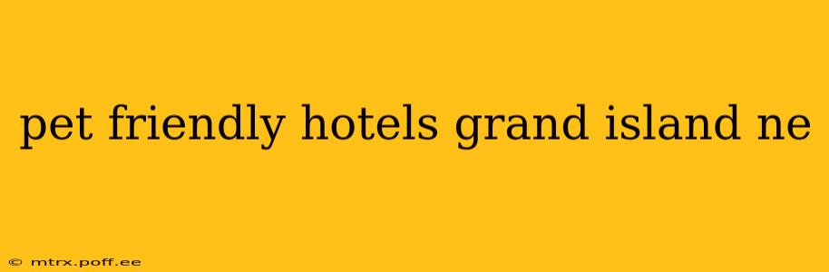 pet friendly hotels grand island ne