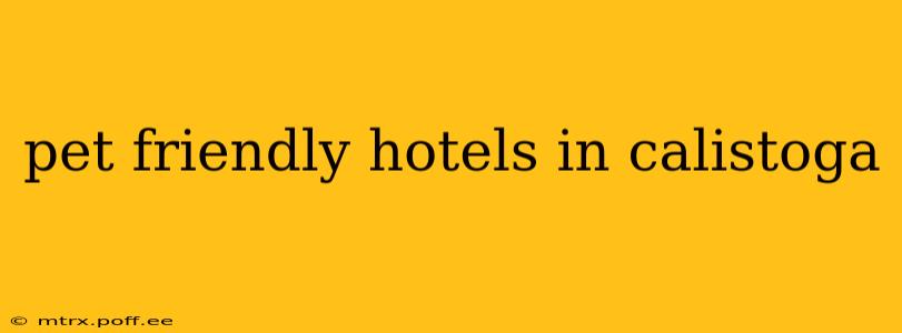 pet friendly hotels in calistoga