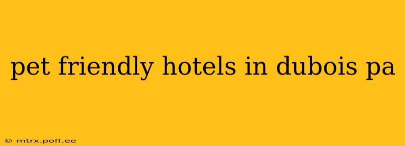 pet friendly hotels in dubois pa
