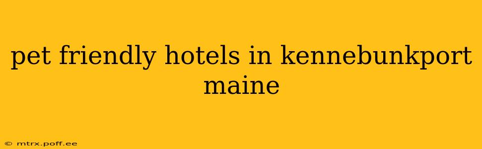 pet friendly hotels in kennebunkport maine