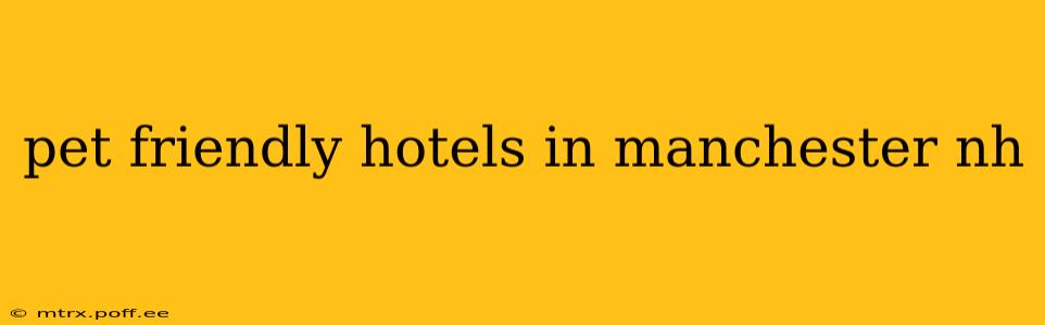 pet friendly hotels in manchester nh