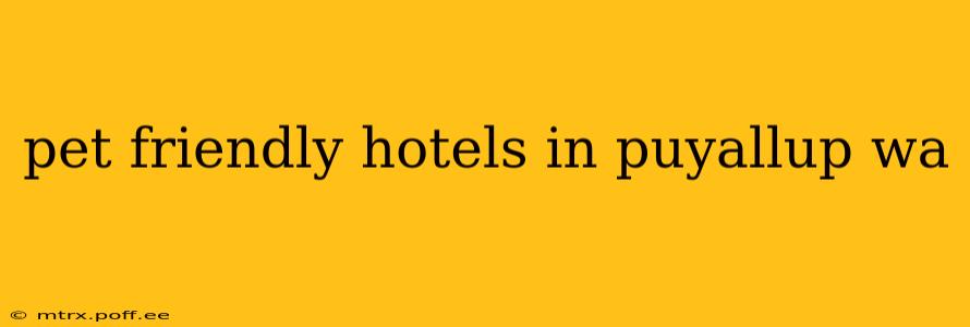 pet friendly hotels in puyallup wa