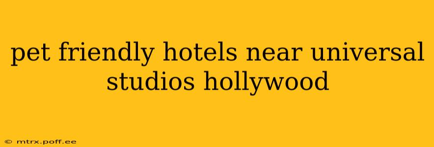 pet friendly hotels near universal studios hollywood