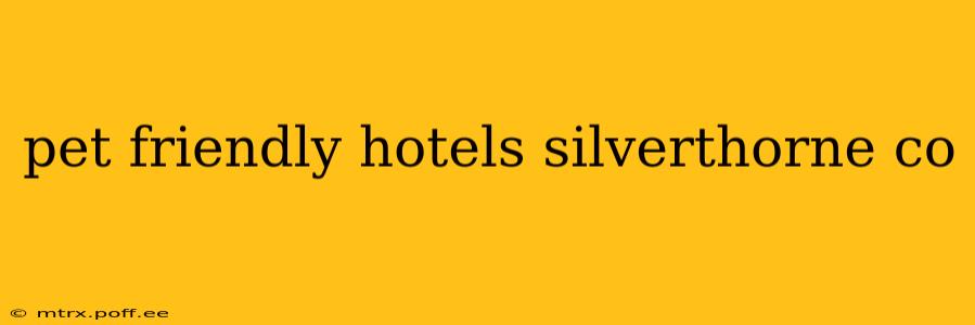 pet friendly hotels silverthorne co