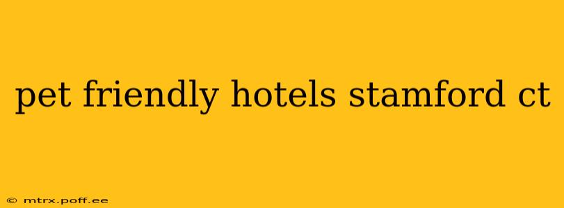 pet friendly hotels stamford ct