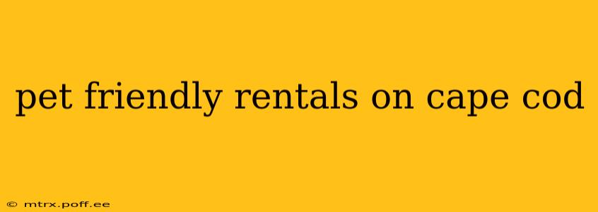 pet friendly rentals on cape cod
