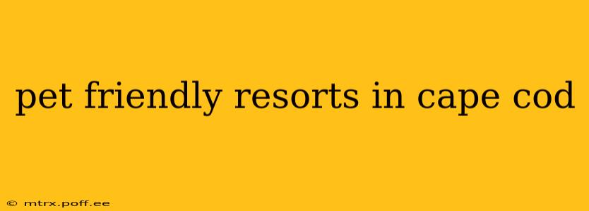 pet friendly resorts in cape cod