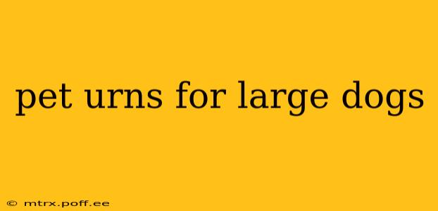 pet urns for large dogs