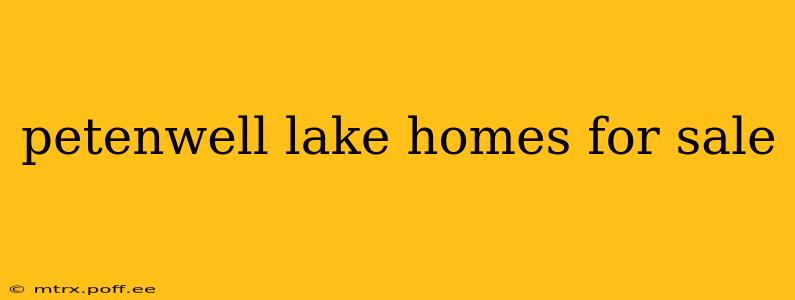petenwell lake homes for sale