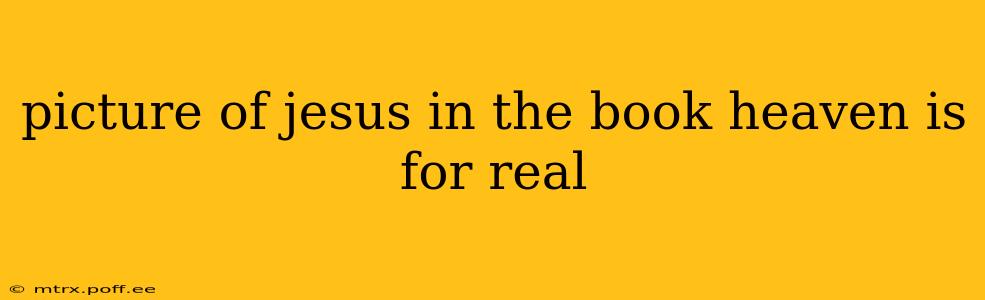 picture of jesus in the book heaven is for real