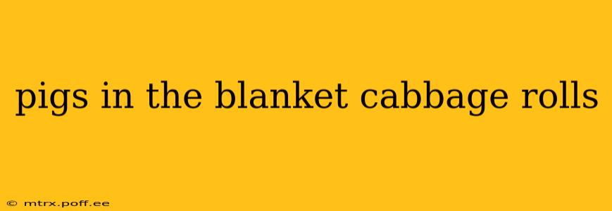 pigs in the blanket cabbage rolls