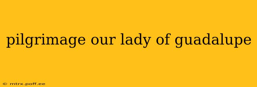 pilgrimage our lady of guadalupe