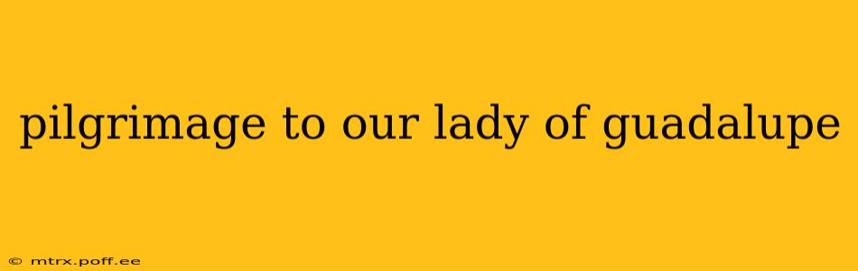 pilgrimage to our lady of guadalupe