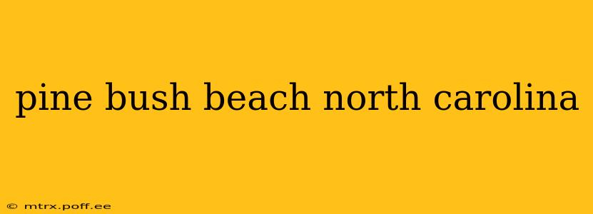 pine bush beach north carolina