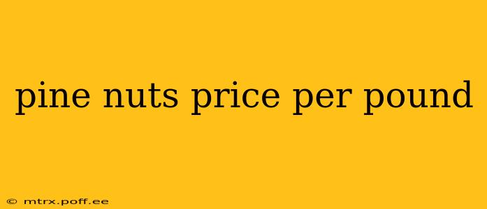 pine nuts price per pound