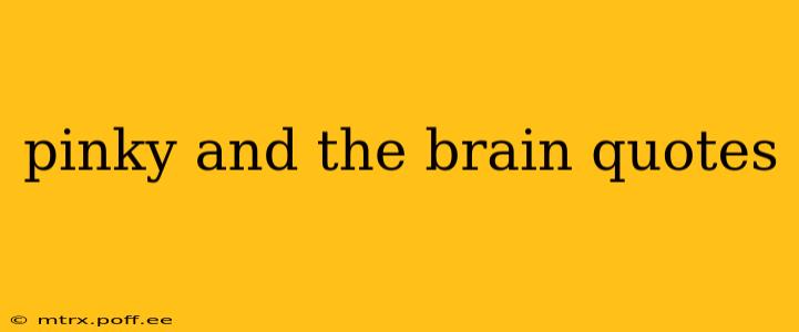 pinky and the brain quotes