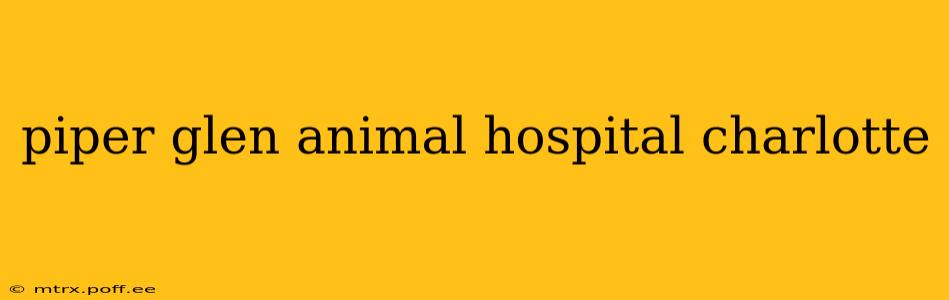 piper glen animal hospital charlotte