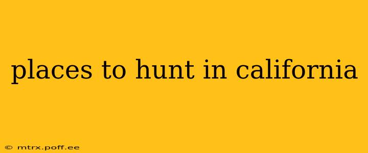 places to hunt in california