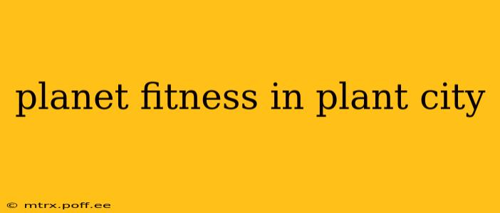 planet fitness in plant city