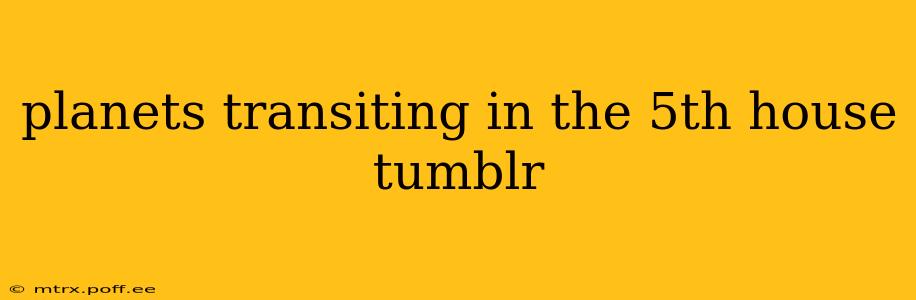 planets transiting in the 5th house tumblr