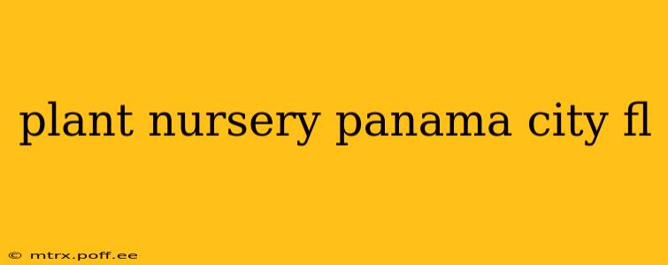 plant nursery panama city fl