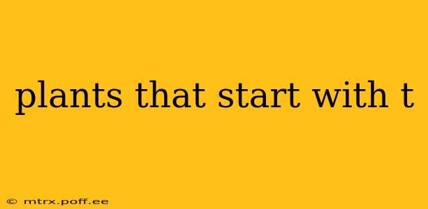 plants that start with t