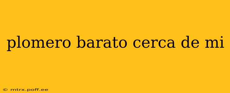 plomero barato cerca de mi