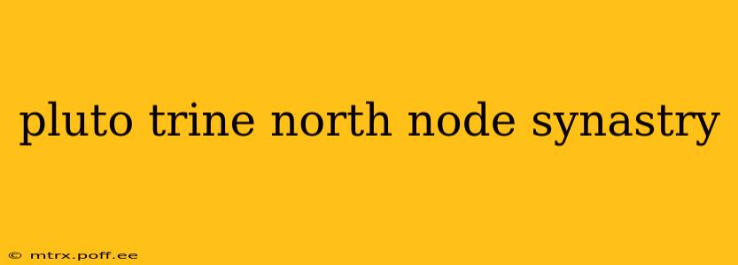 pluto trine north node synastry