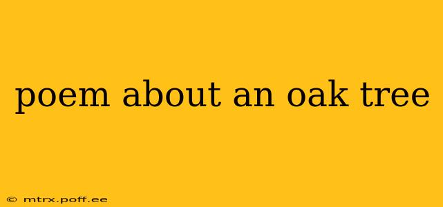 poem about an oak tree
