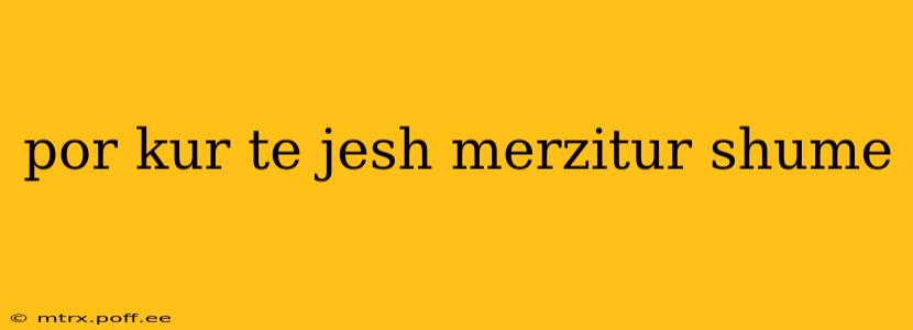 por kur te jesh merzitur shume