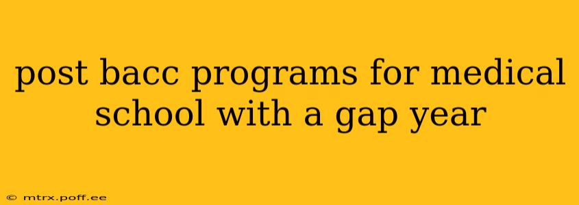 post bacc programs for medical school with a gap year