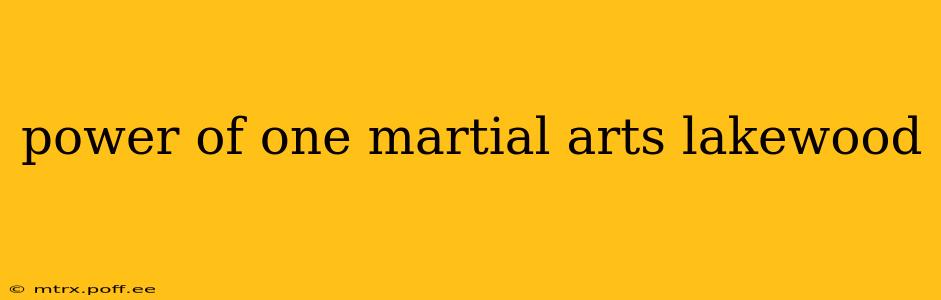 power of one martial arts lakewood