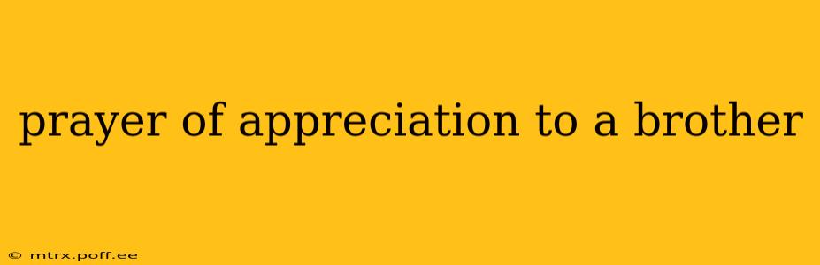 prayer of appreciation to a brother