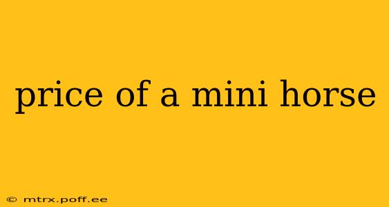 price of a mini horse
