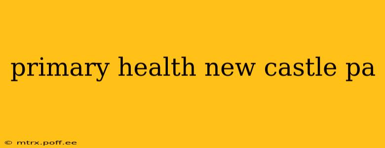 primary health new castle pa