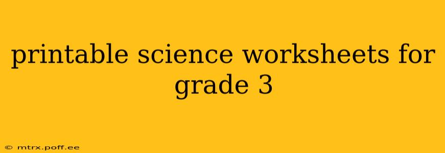 printable science worksheets for grade 3