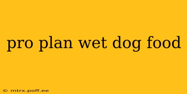 pro plan wet dog food