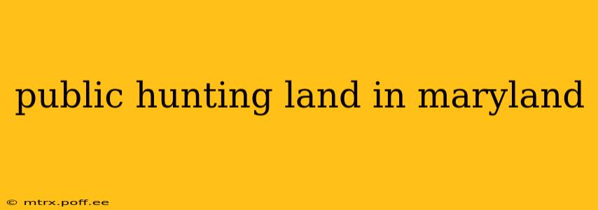public hunting land in maryland
