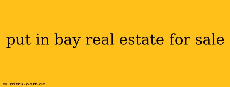 put in bay real estate for sale