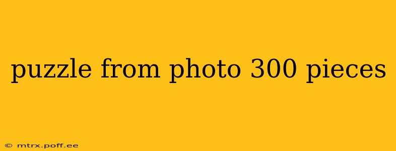 puzzle from photo 300 pieces