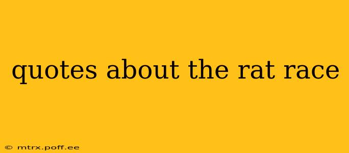 quotes about the rat race