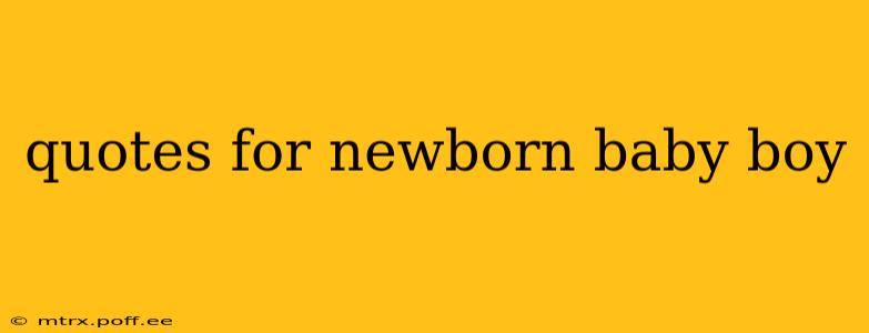 quotes for newborn baby boy