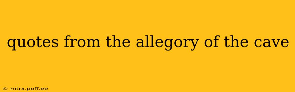 quotes from the allegory of the cave