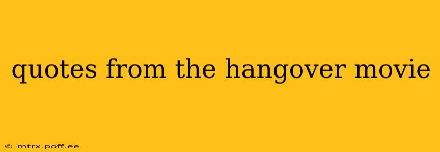 quotes from the hangover movie