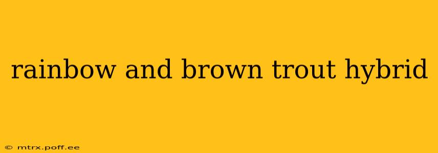 rainbow and brown trout hybrid