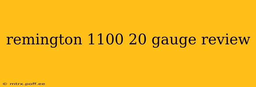 remington 1100 20 gauge review