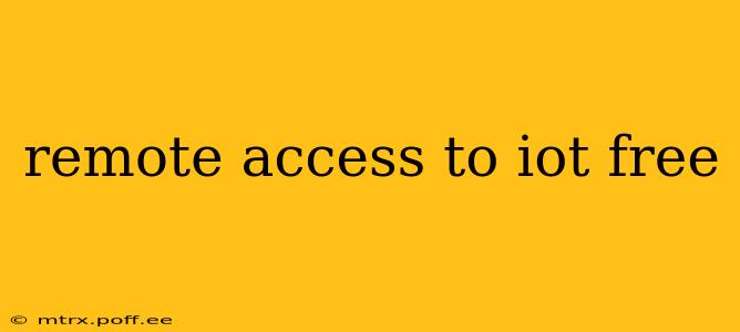remote access to iot free
