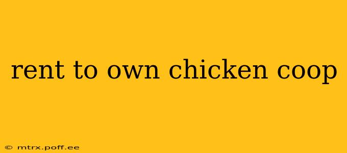 rent to own chicken coop