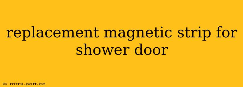 replacement magnetic strip for shower door