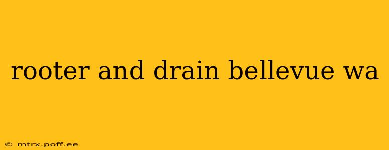 rooter and drain bellevue wa